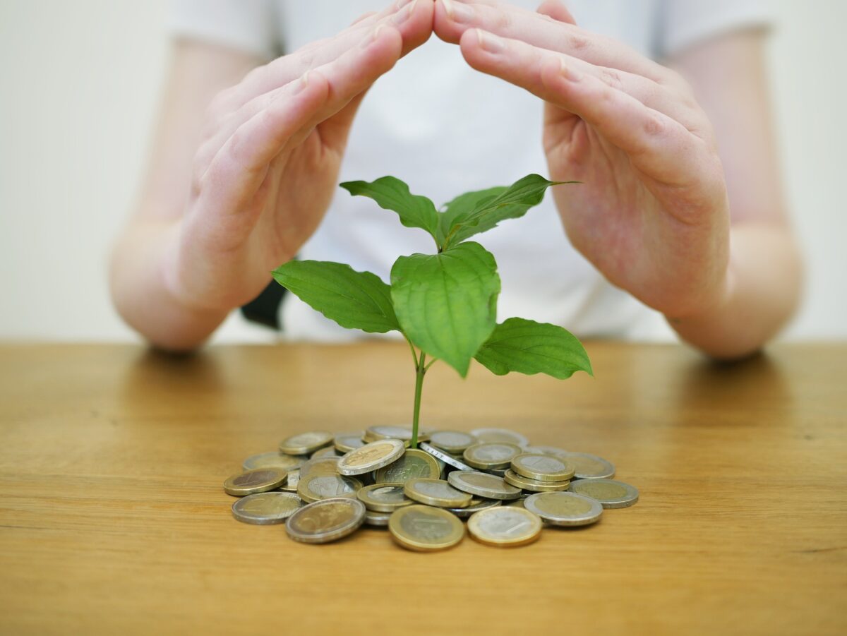 money-back-up-4518407_1920